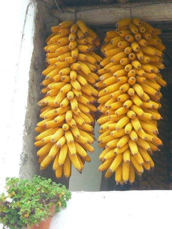 El Pontarron La Franca