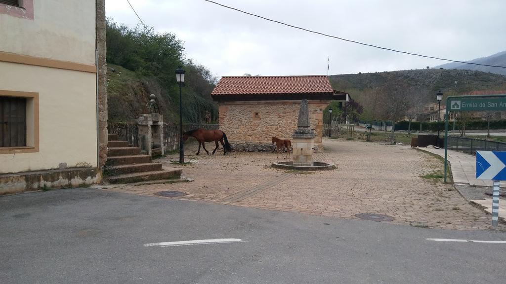 Guest house Taberna La