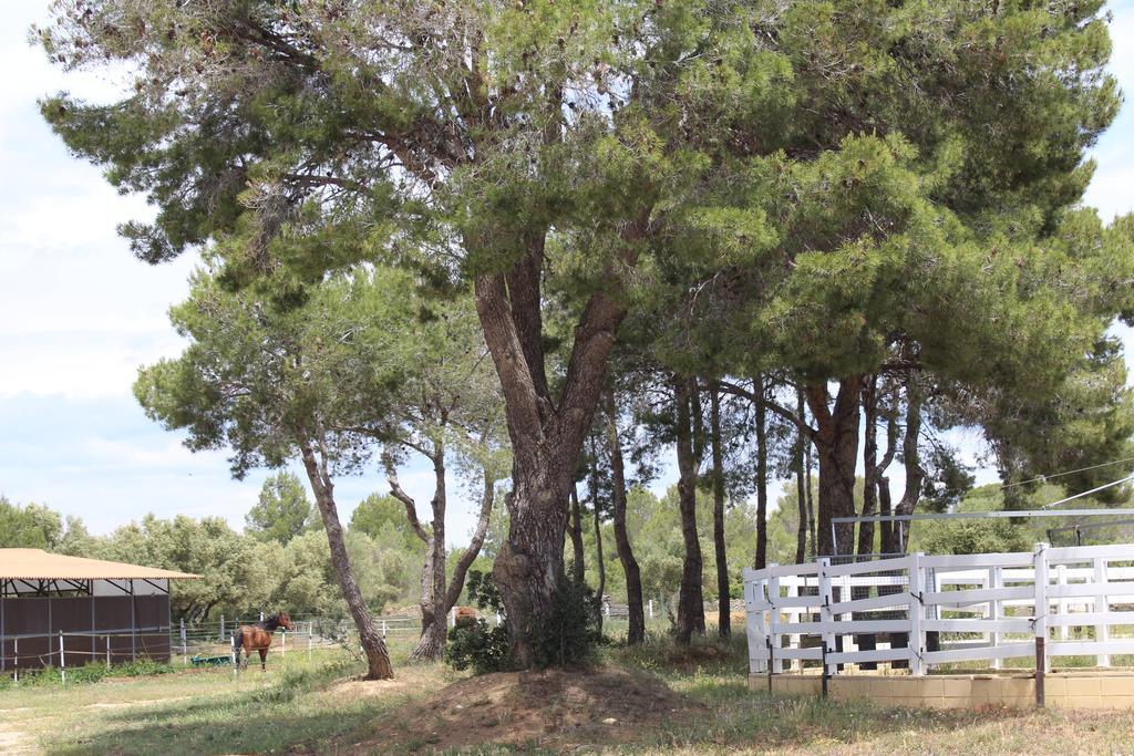 Rocaplana Club De Campo Campsite *