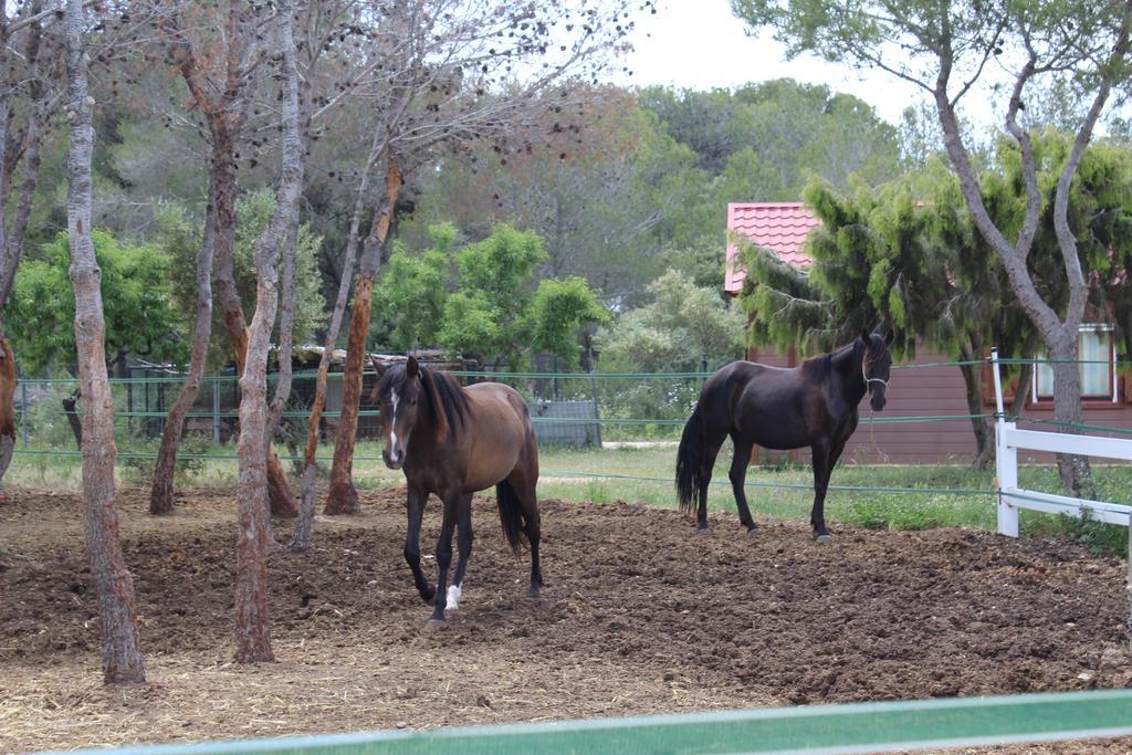 Rocaplana Club De Campo Campsite Vilarrodona