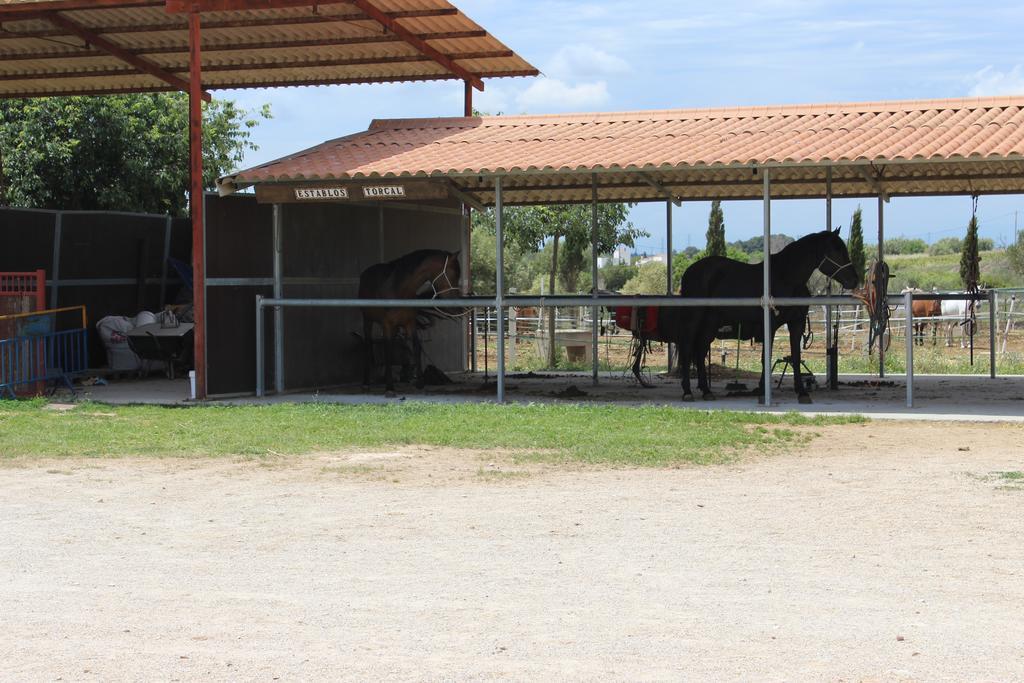 Rocaplana Club De Campo Campsite *