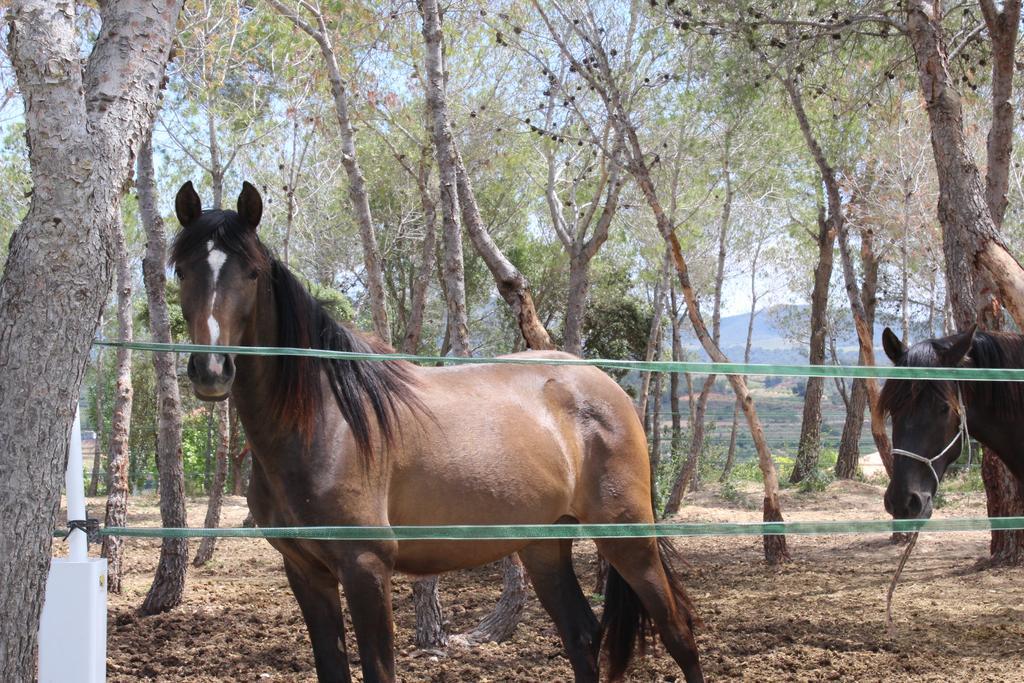 Rocaplana Club De Campo Campsite *