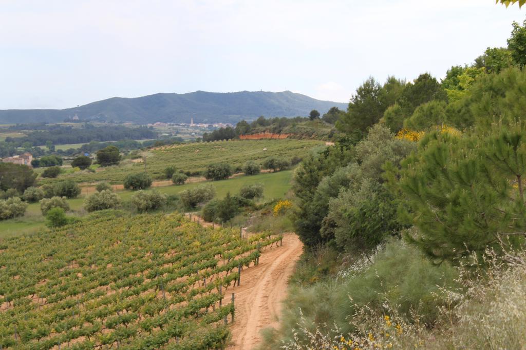 Rocaplana Club De Campo Campsite Vilarrodona