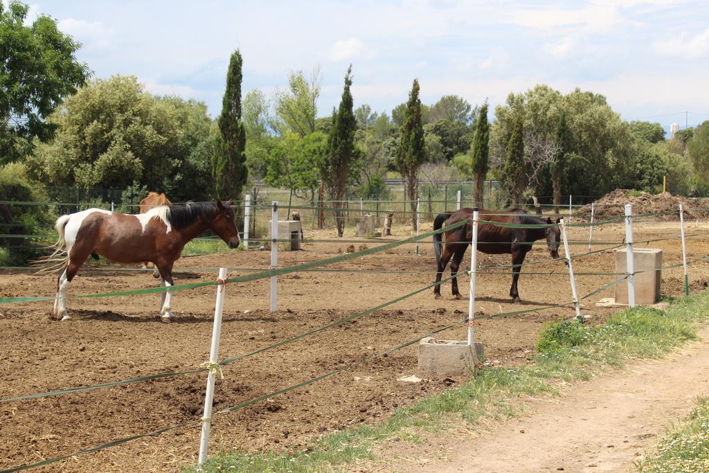 Rocaplana Club De Campo * Vilarrodona