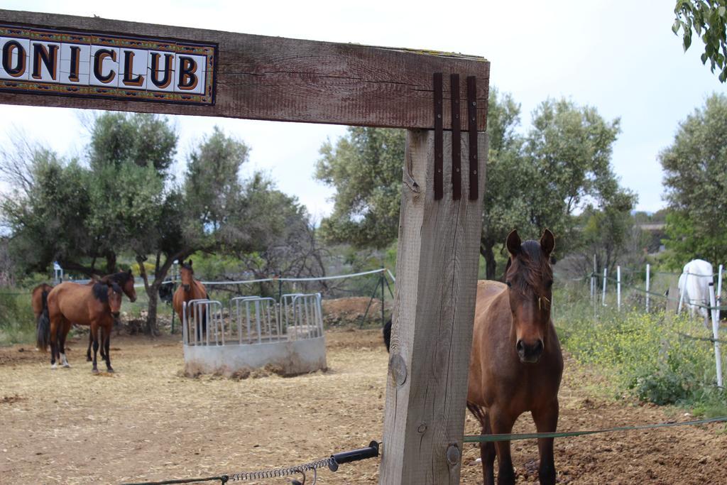 Rocaplana Club De Campo Campsite *