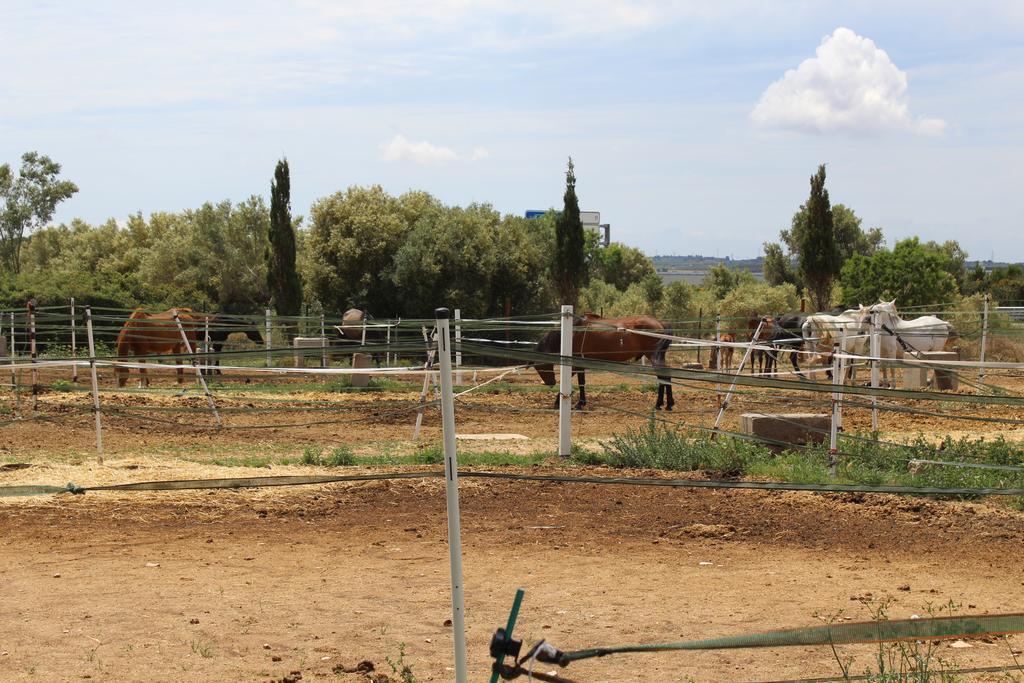 Rocaplana Club De Campo