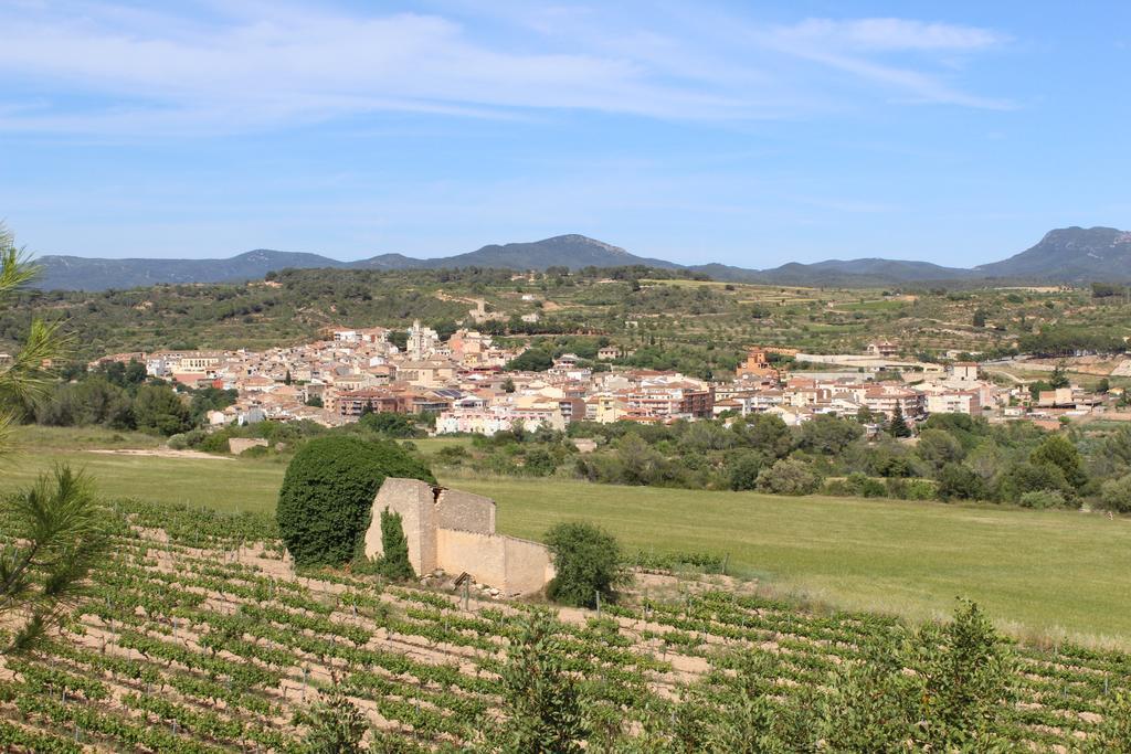 Campsite Rocaplana Club De Campo