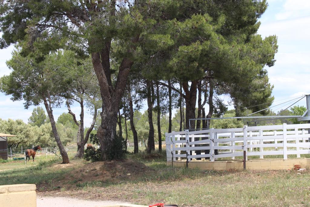Rocaplana Club De Campo Vilarrodona