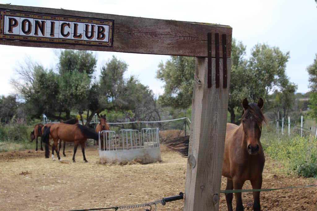 Rocaplana Club De Campo