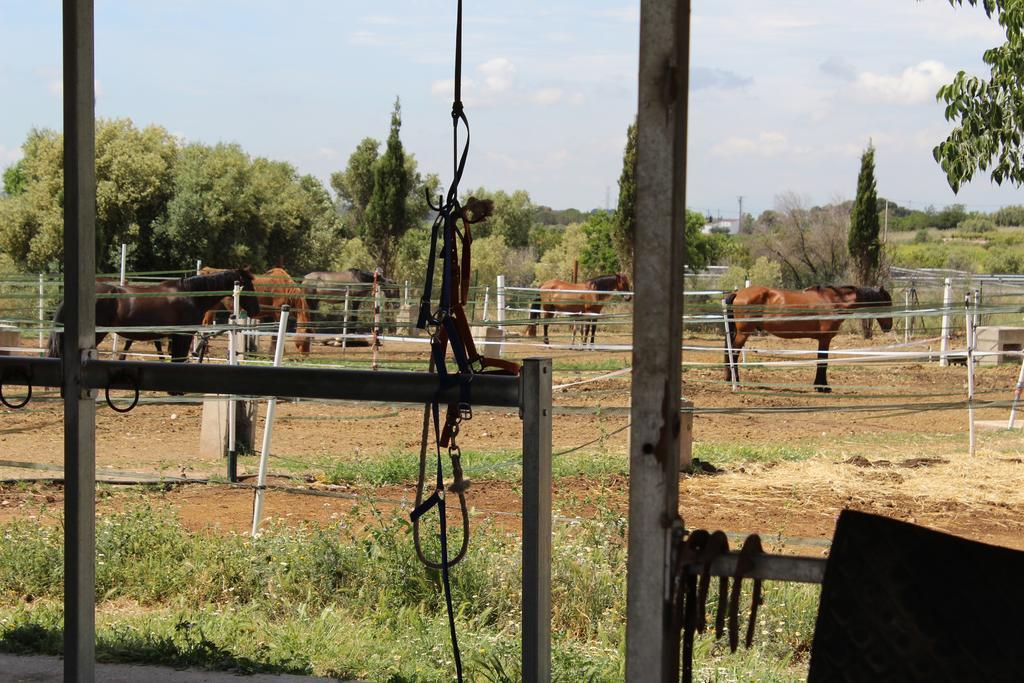 Rocaplana Club De Campo