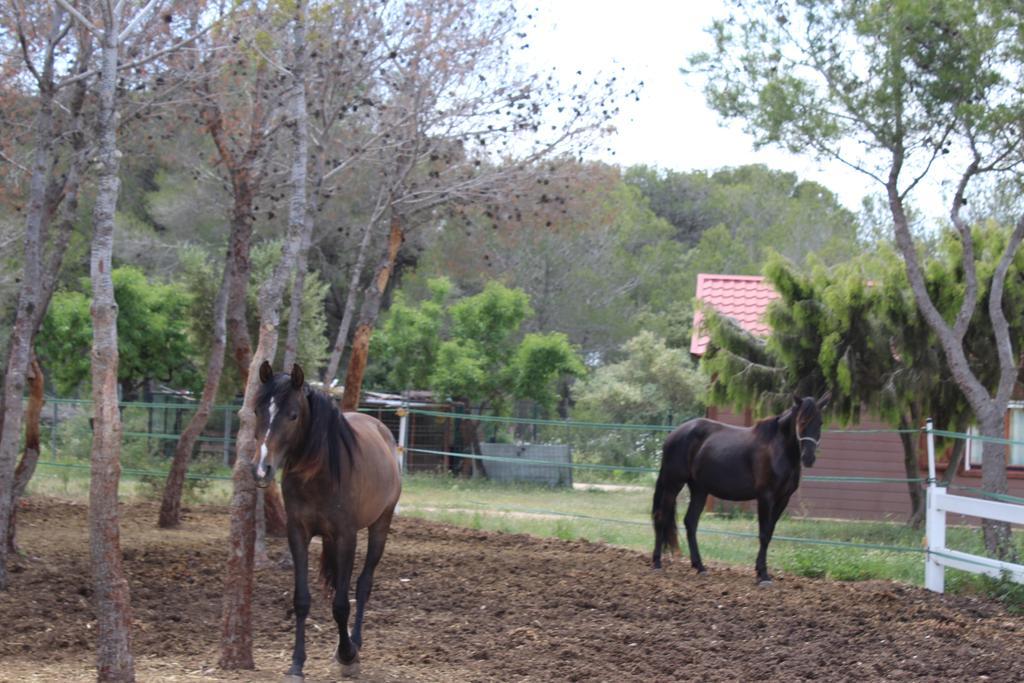 Campsite Rocaplana Club De Campo *
