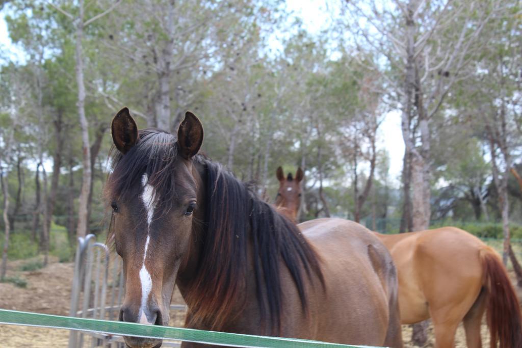 Rocaplana Club De Campo * Vilarrodona