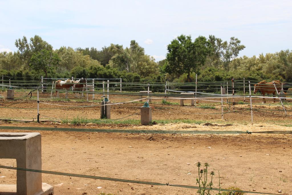Rocaplana Club De Campo Campsite Vilarrodona
