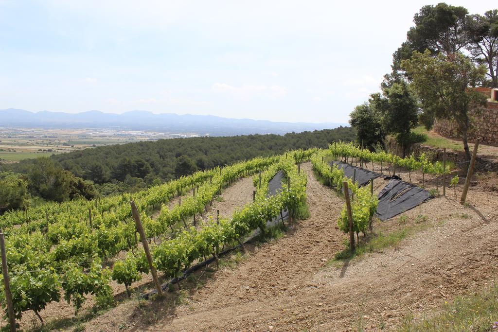 Campsite Rocaplana Club De Campo Vilarrodona