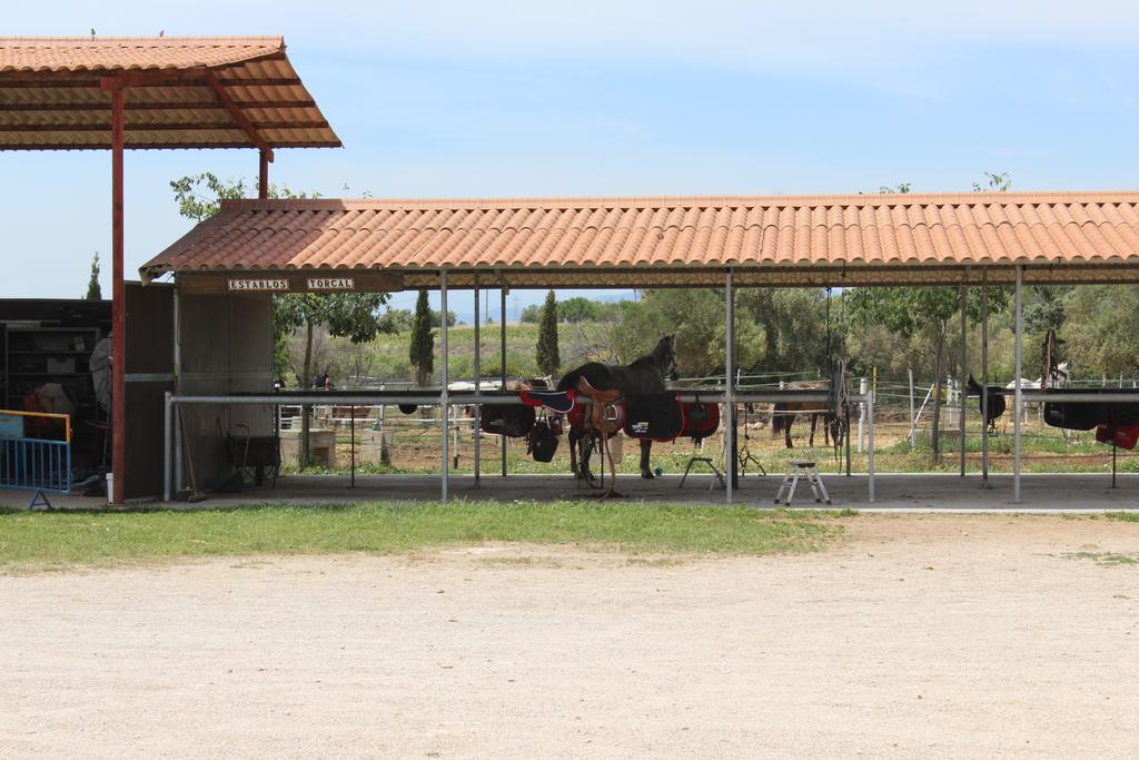 Campsite Rocaplana Club De Campo