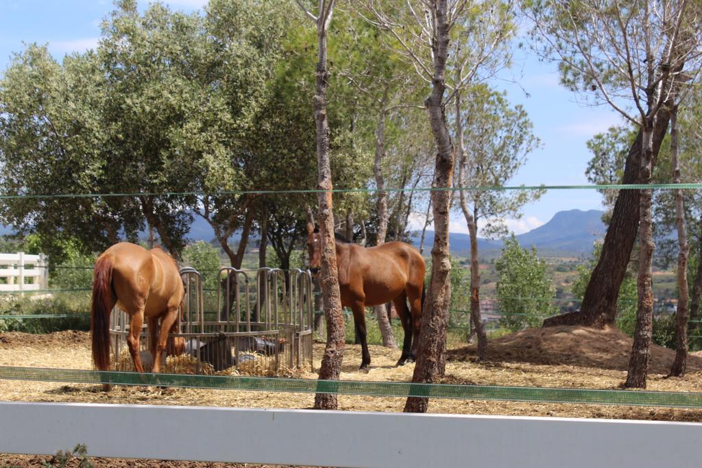 Rocaplana Club De Campo