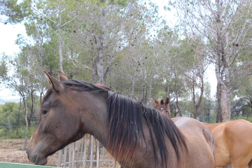 Rocaplana Club De Campo