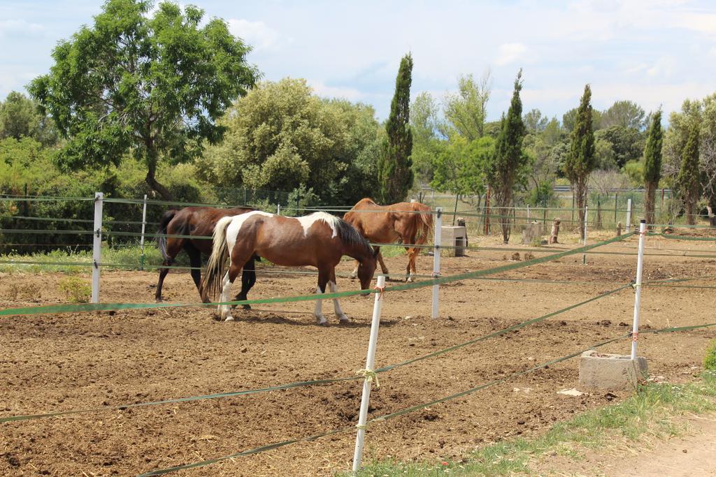 Rocaplana Club De Campo Campsite Vilarrodona