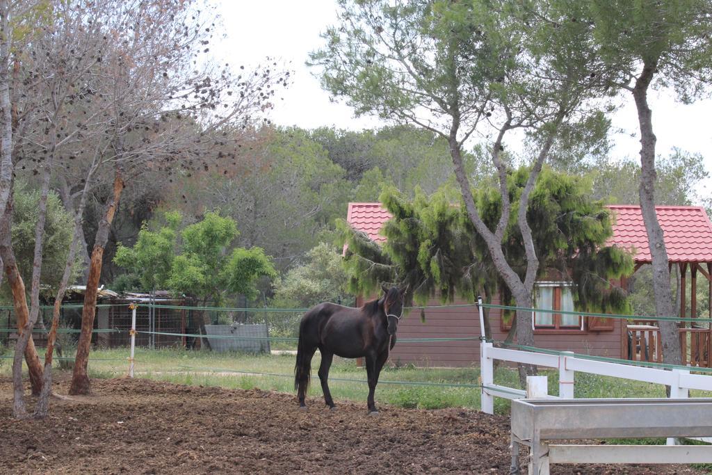 Rocaplana Club De Campo Vilarrodona