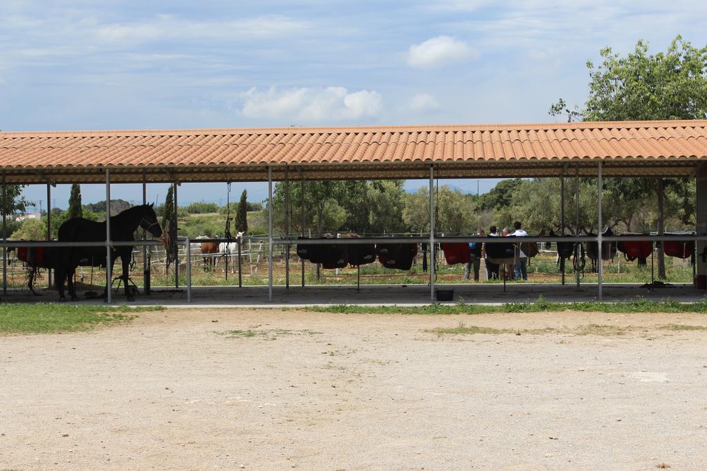 Rocaplana Club De Campo