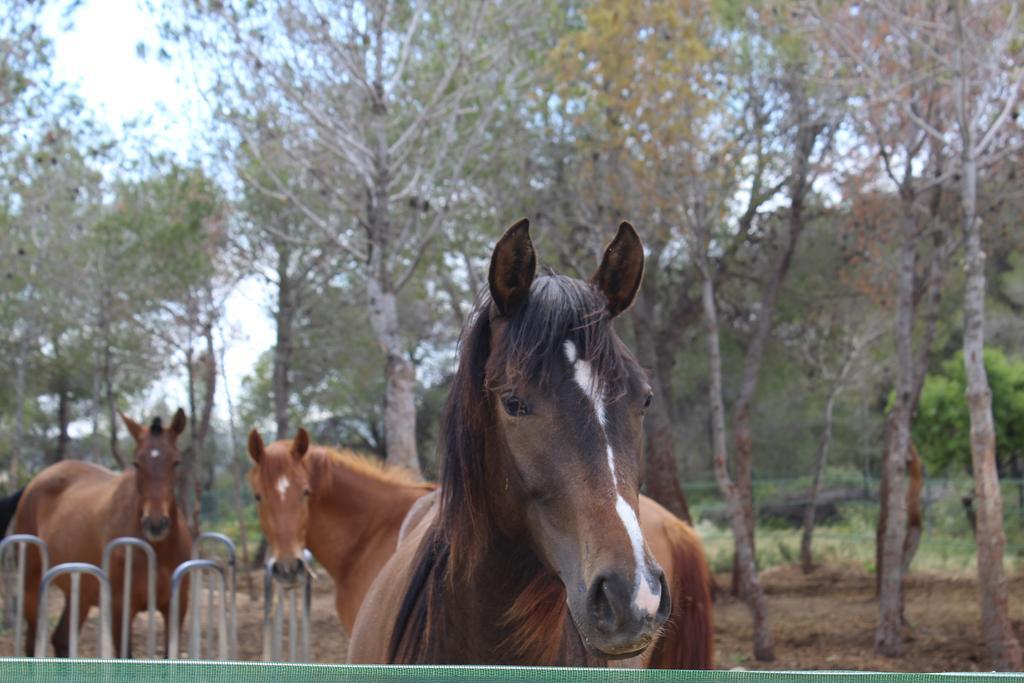 Rocaplana Club De Campo Campsite *