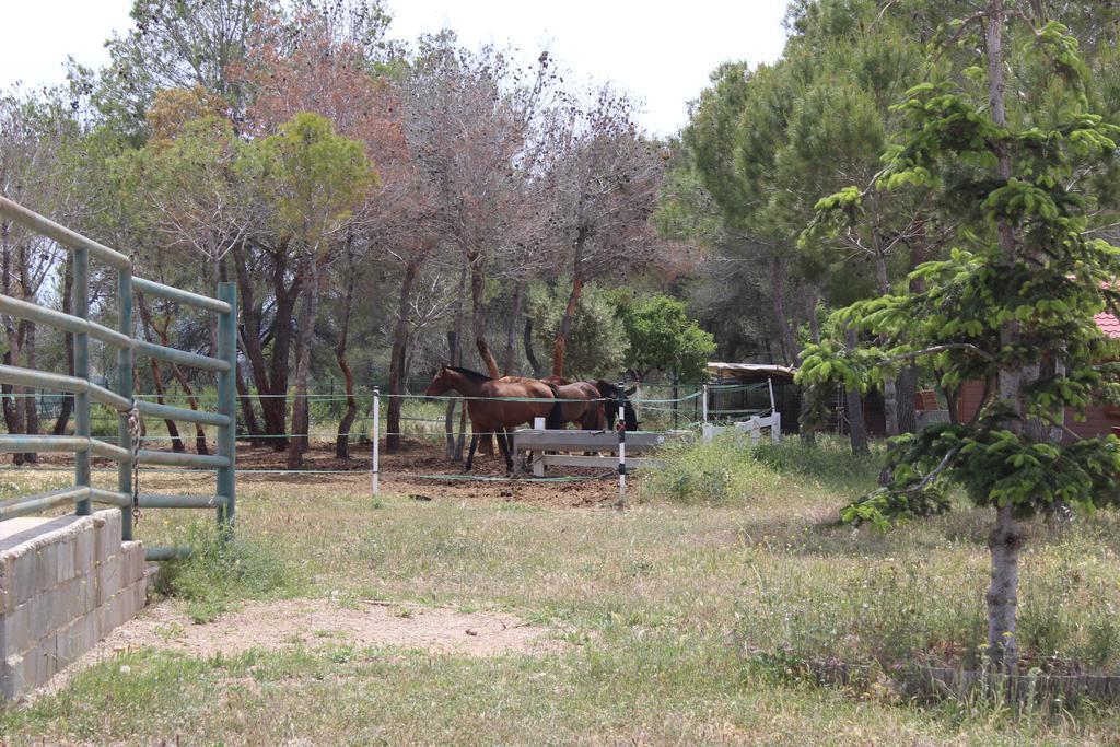 Rocaplana Club De Campo Campsite *