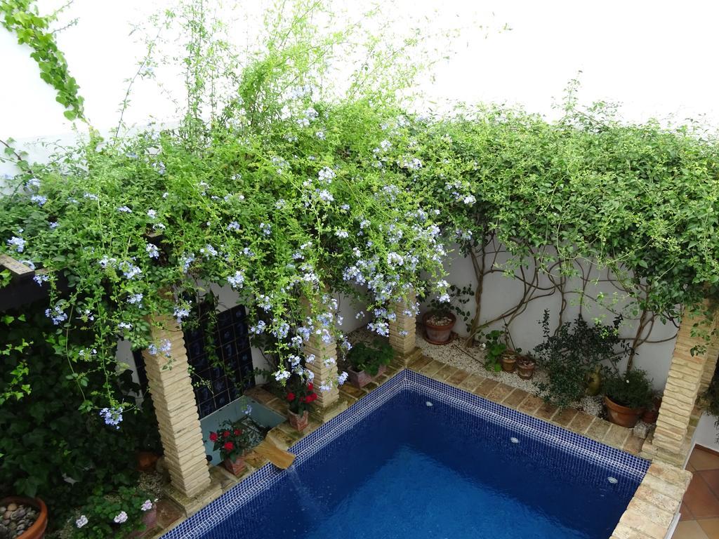 Casa La Loba Pensión Medina-Sidonia