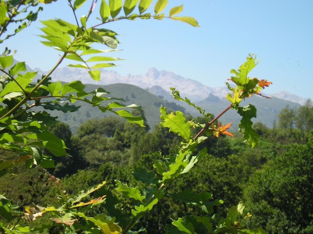 Alborada Country house *
