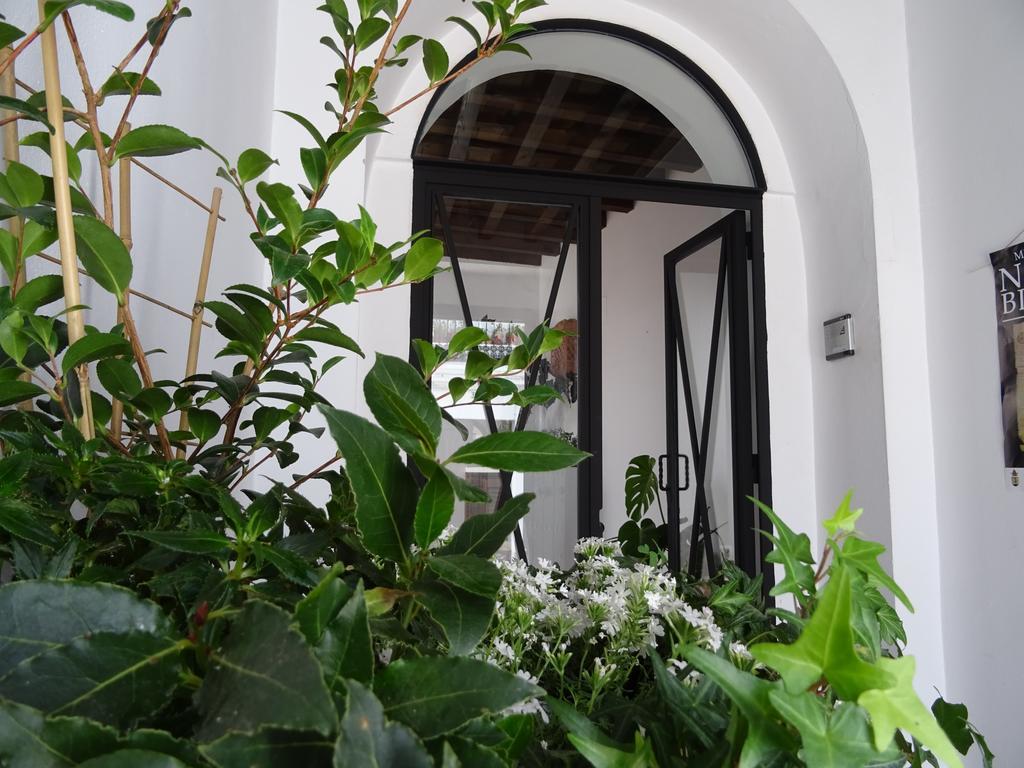 Pensión Casa La Loba *