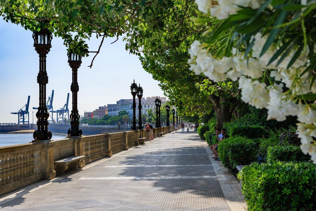 El Atico Del Marques Free Parking By Cadiz4rentals Apartment