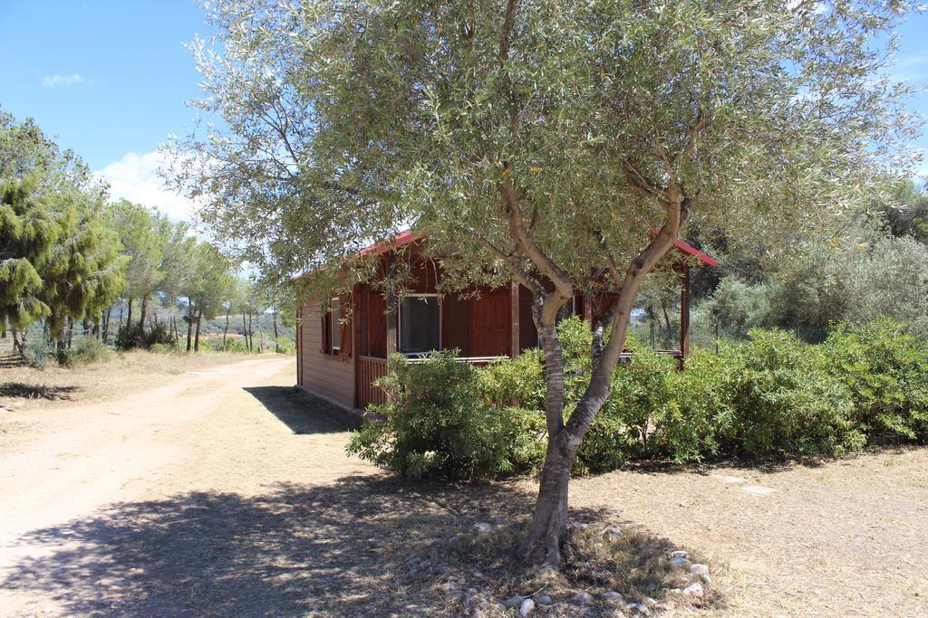 Rocaplana Club De Campo Campsite Vilarrodona