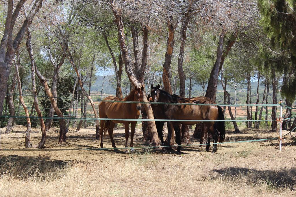 Rocaplana Club De Campo Campsite