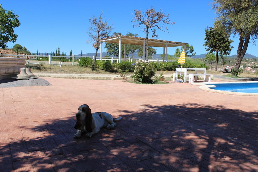 Campsite Rocaplana Club De Campo