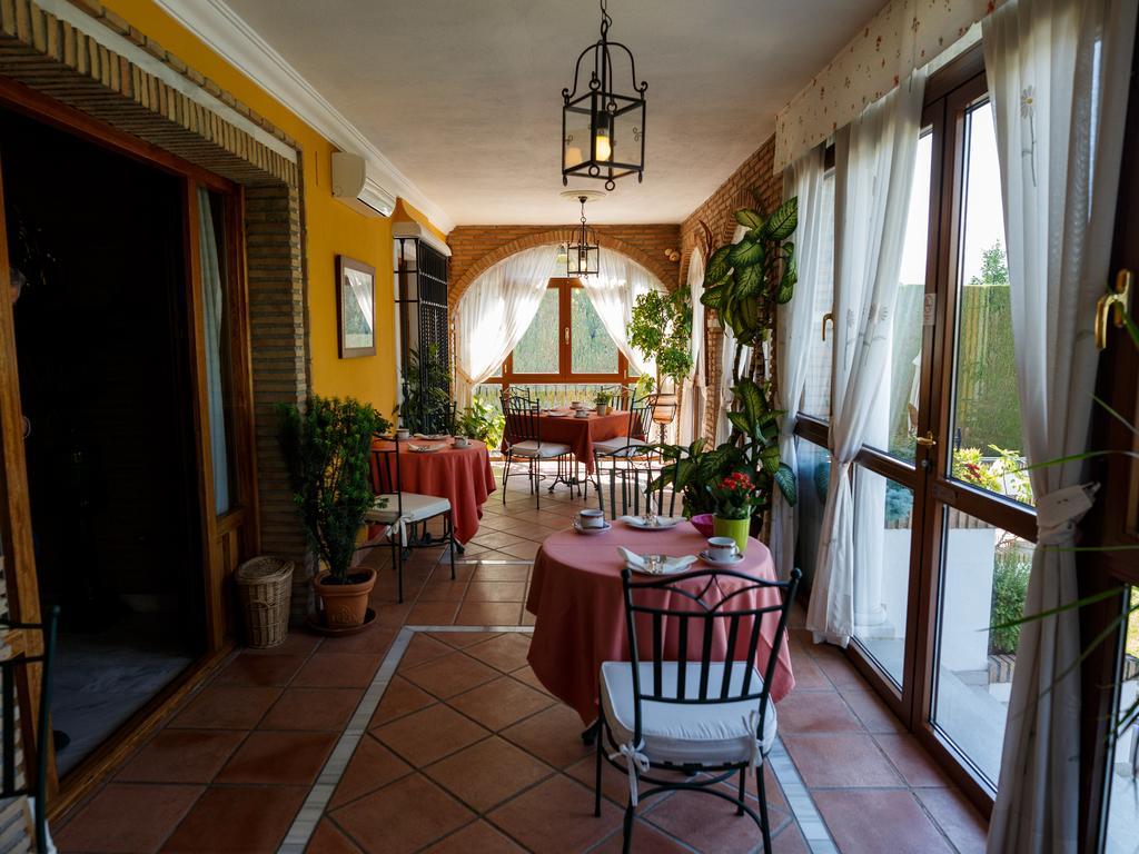 Hotel Sur 3*