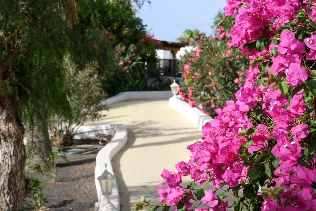 Casa Rosas By Buenavilla Holiday home