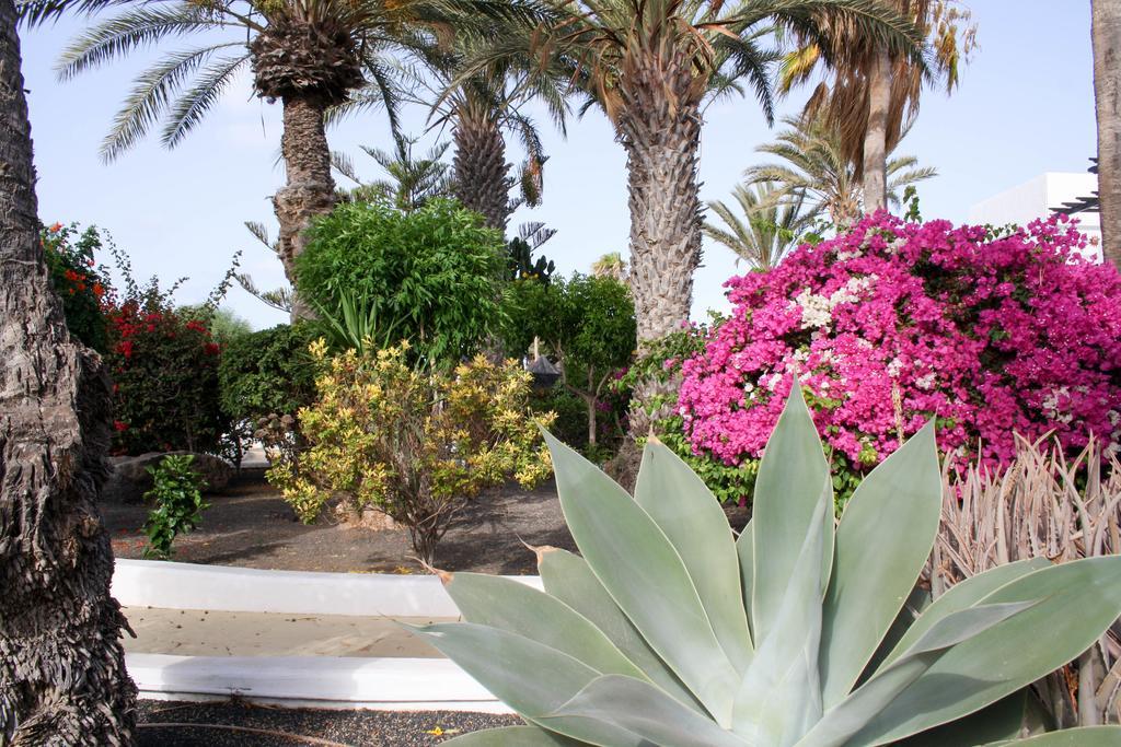 Casa Rosas By Buenavilla Holiday home *
