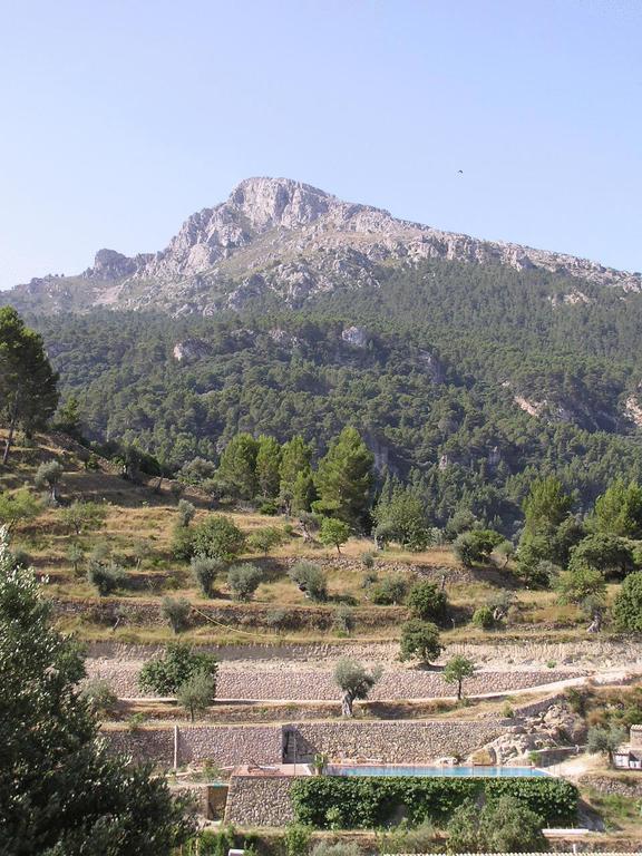 Agroturismo S'olivar * Estellencs (Mallorca)