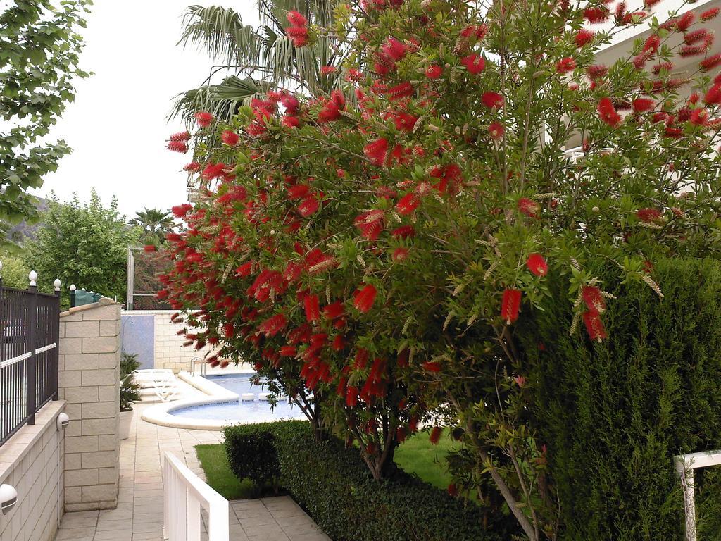 Apartamento Las Terrazas De Albir El Albir