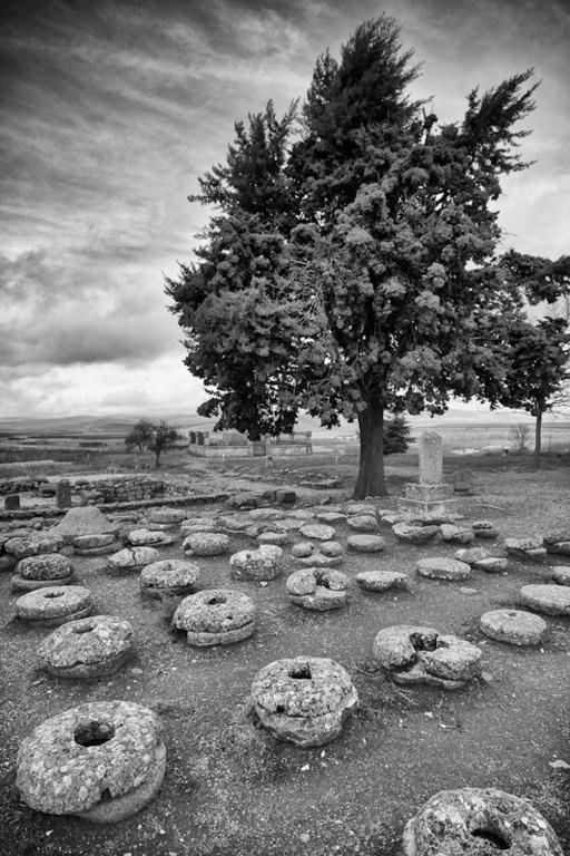 La De Numancia