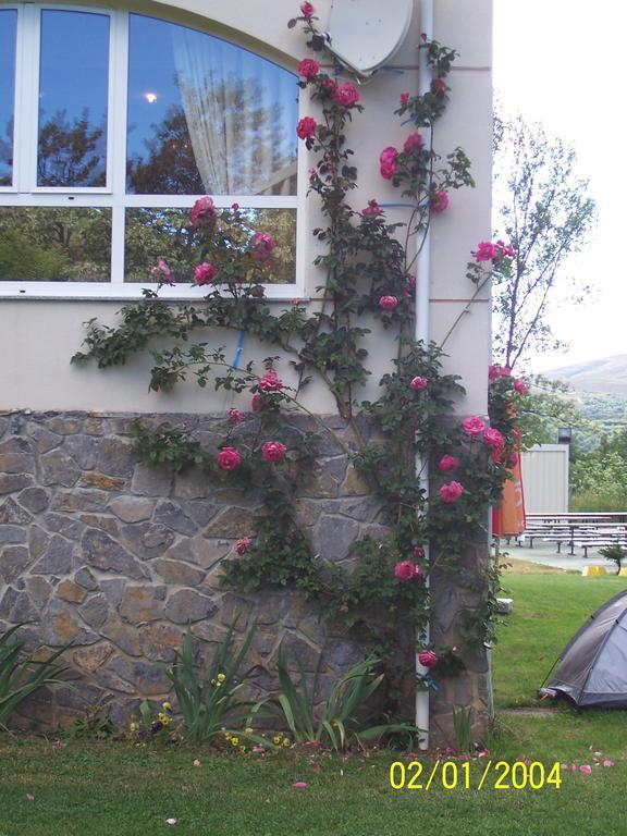 Hotel La Mora