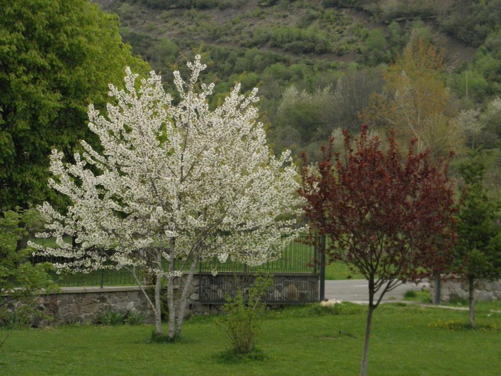 La Mora Villaseca de Laciana