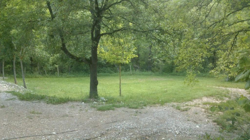 L'espelt Campsite 2*