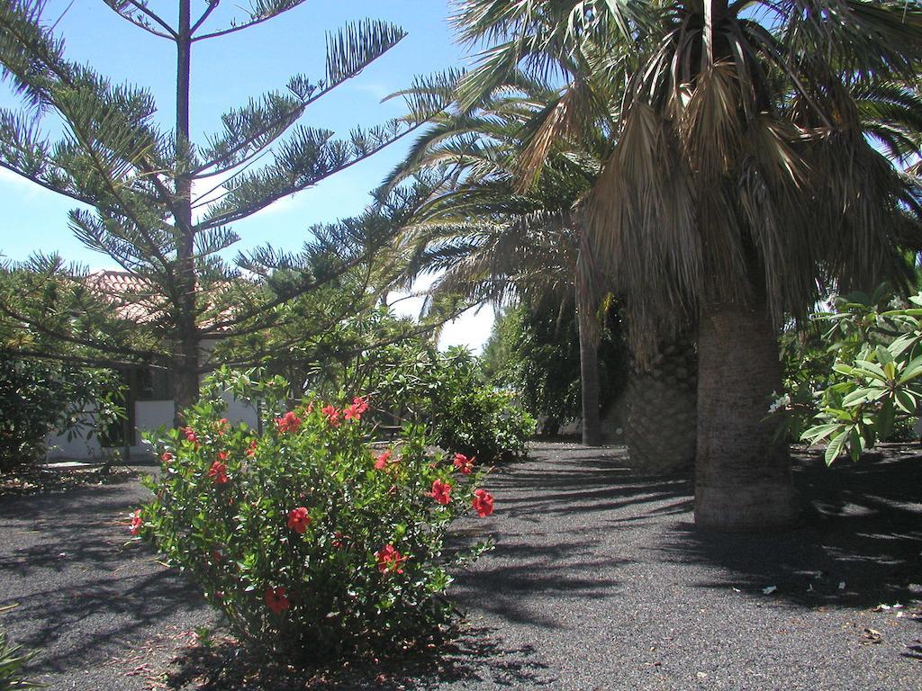 Casa Nerea