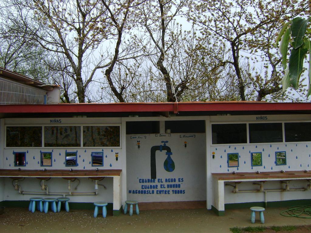 Campamento Quimpi * El Rosario (Tenerife)