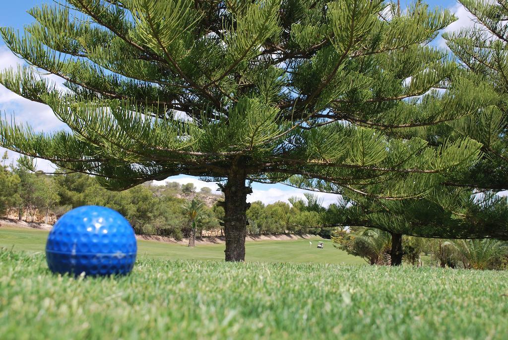 Hotel Golf