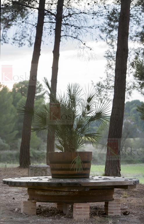 Finca San Agust\u00edn Ontinyent (Onteniente)