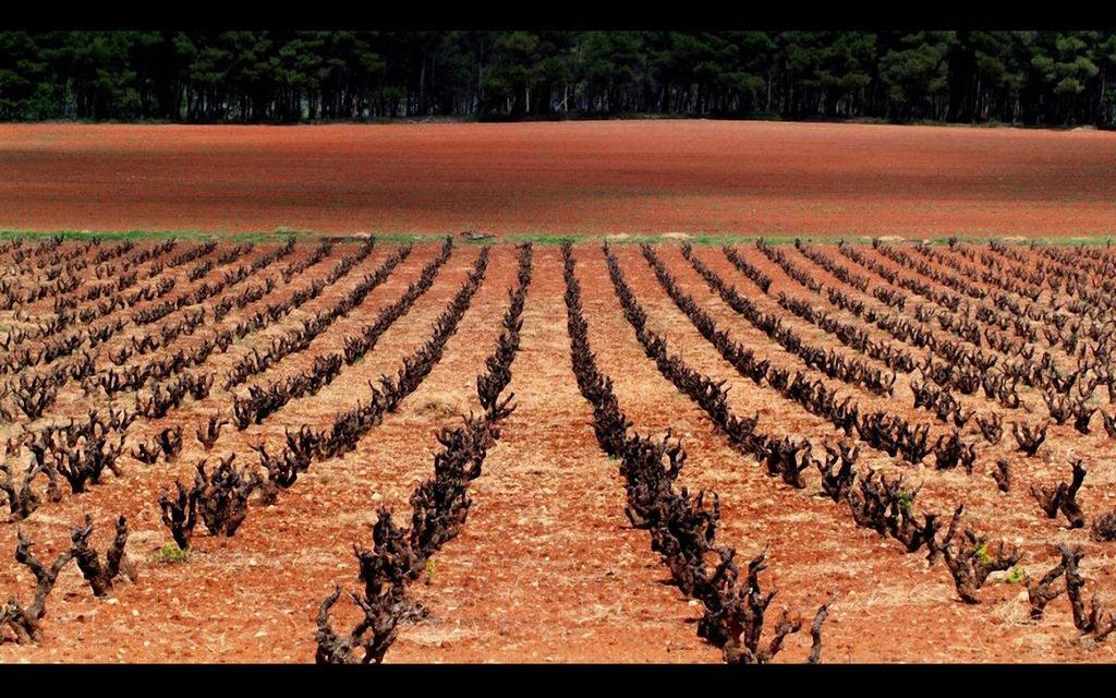Pensión Finca San Agust\u00edn Ontinyent (Onteniente)
