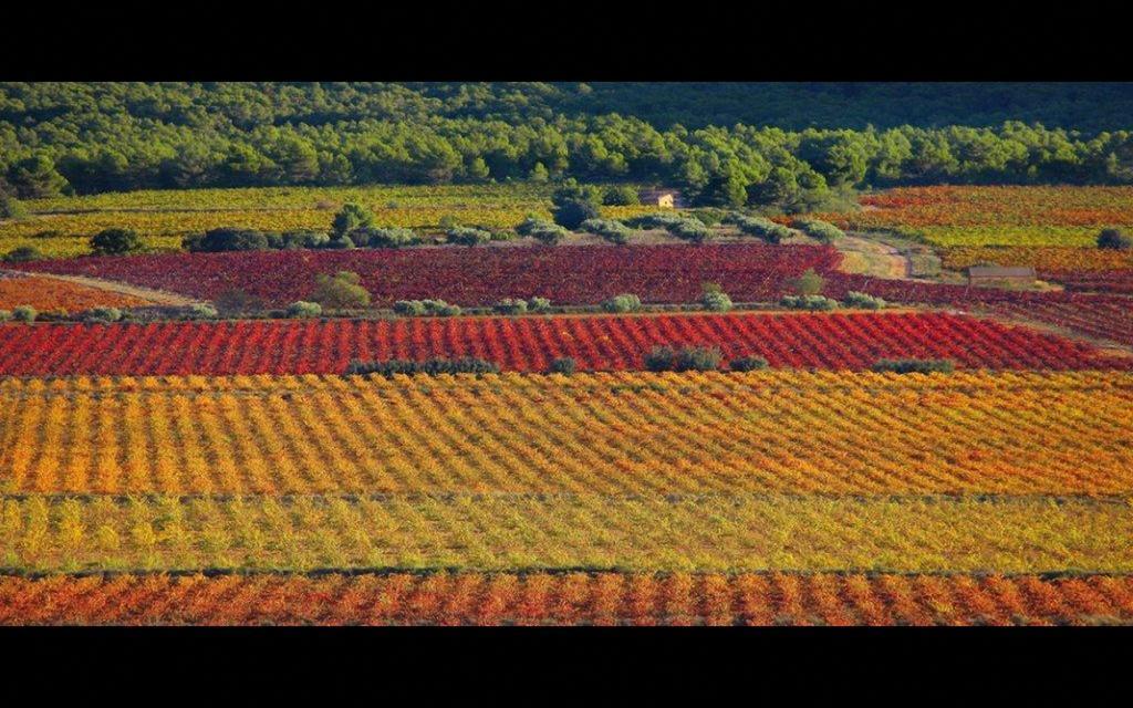 Pensión Finca San Agust\u00edn