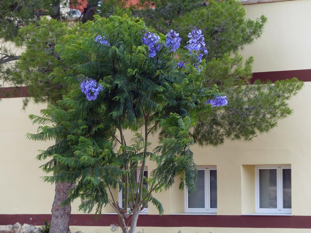 Finca San Agust\u00edn Pensión 3*