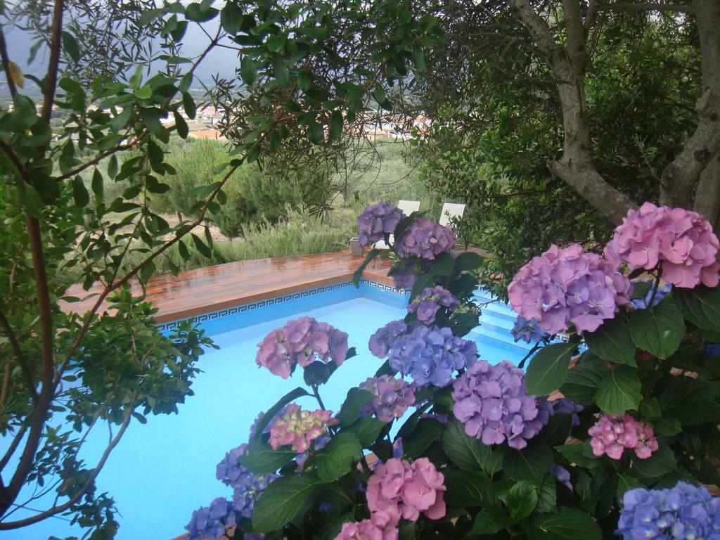 Guest house Rincon De La Fuente 3*